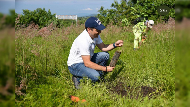 Plantan mil árboles en Área Natural Protegida de La Piedad