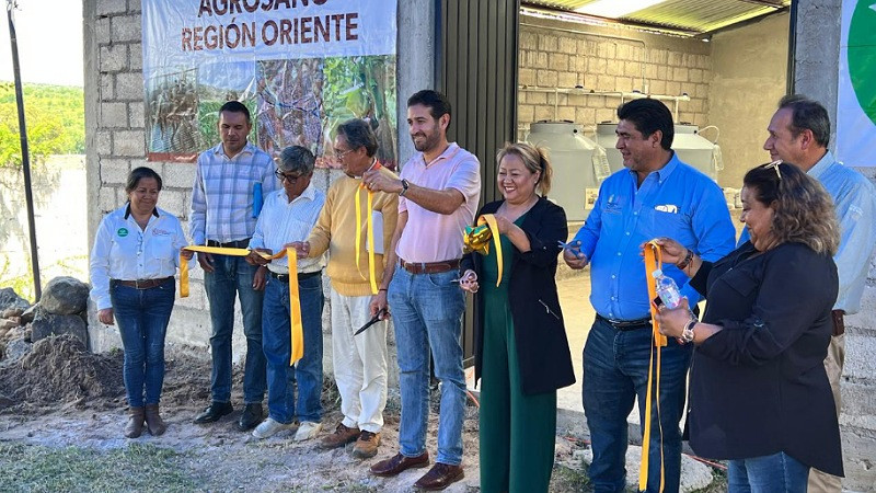 Sader y productores ponen en operación biofábrica en Maravatío, Michoacán  