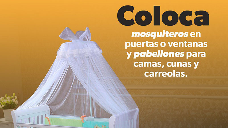 Protege a niñas y niños del dengue con estas recomendaciones del sector salud  