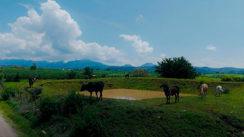 Construye Sader bordos para abrevadero en Tacámbaro 