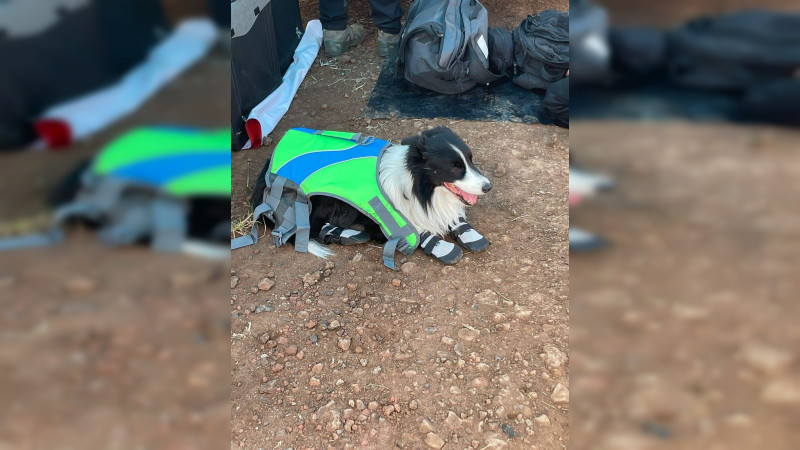 Continúa búsqueda de joven desaparecido en una presa de Tangancícuaro, Michoacán 