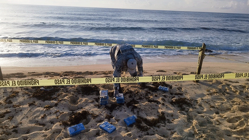 Encuentra Guardia Nacional droga sintética entre sargazo en Cozumel