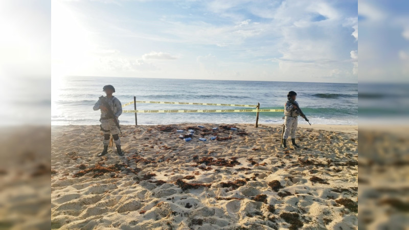 Encuentra Guardia Nacional droga sintética entre sargazo en Cozumel