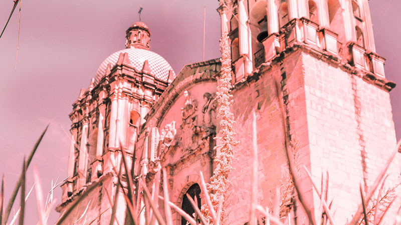 Oaxaca lleva 64 feminicidios en lo que va del año 
