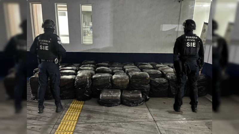 Aseguran casi una tonelada de enervantes en Zinapécuaro, Michoacán 