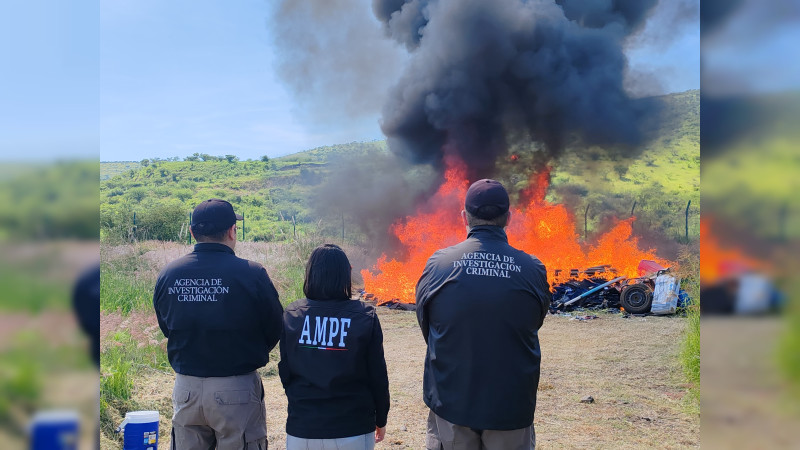 Incineran más de 100 kilos de diversos enervantes asegurados en Michoacán 