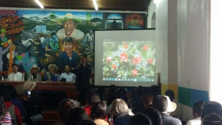 Realizan conferencias sobre el arte de comunidades originarias de México y Michoacán - Foto 1 
