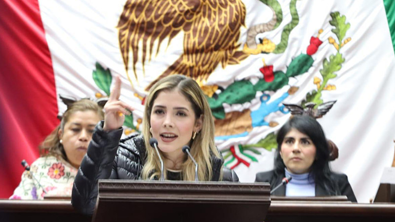 Con el voto a favor de la Reforma Indígena y afromexicana, nunca más un derecho negado: Brissa Arroyo 