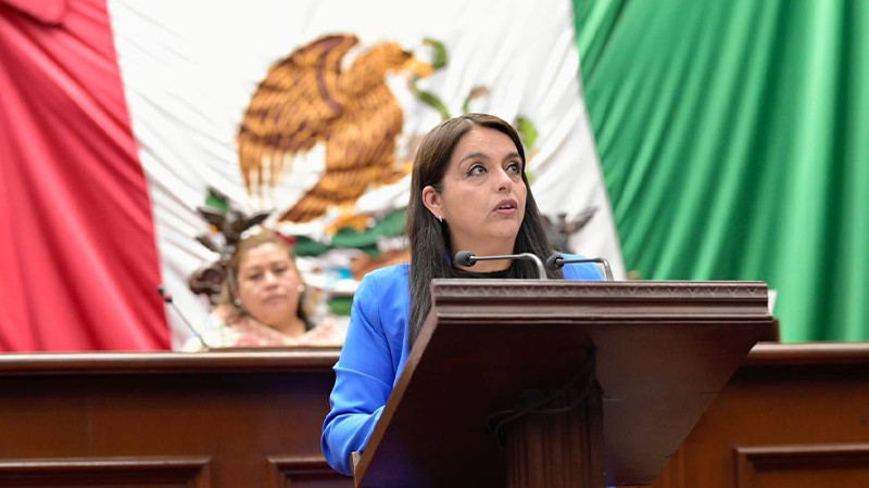 Acción Nacional a favor de los pueblos originarios y afromexicanos: Diputada Tere Herrera 