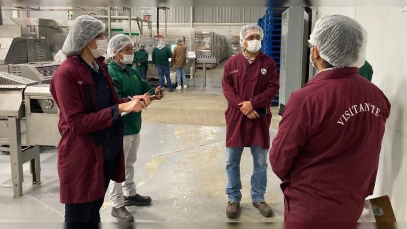 Estos son los criterios para certificar las huertas de aguacate 