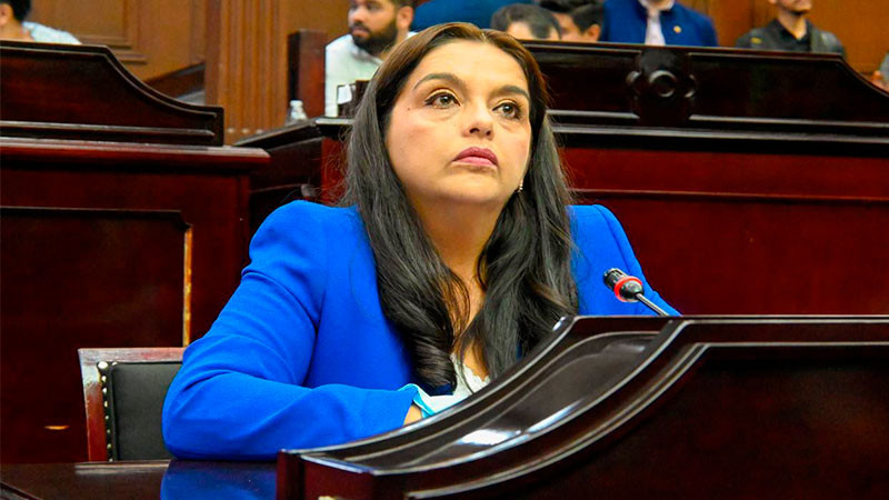 Va diputada Teresita Herrera por la defensa de los derechos de las familias en Michoacán 