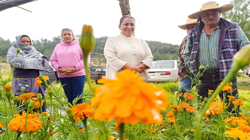 Promueve Gobierno de Quiroga el consumo de cempasúchil del programa Sembrando Vida 