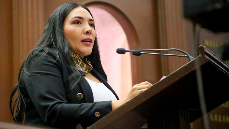 Un retroceso a la justicia, democracia y a la libertad, reforma al Poder Judicial: Adriana Campos Huirache 