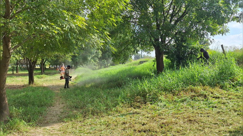 Gobierno de Morelia lleva jornadas de limpieza integral a parque Arboretum 