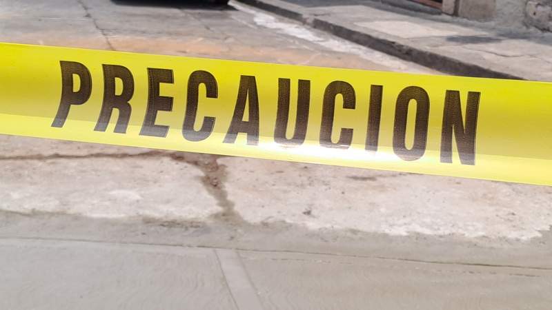 Localizan 12 perritos muertos en Morelia, se presume fueron envenenados  