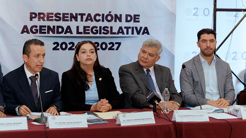 PAN Michoacán impulsará que titulares de la SSP prueben al menos 5 años de experiencia en materia de seguridad  