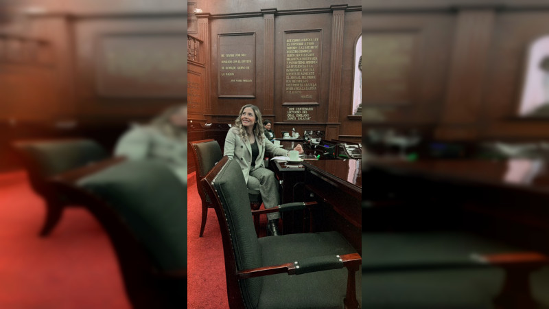 Diputada Brissa Arroyo, legisla en serio, en congruencia con su formación  ideológica 