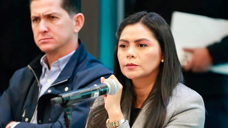 Listo dictamen en materia de protección a las mujeres en el Senado: Araceli Saucedo 