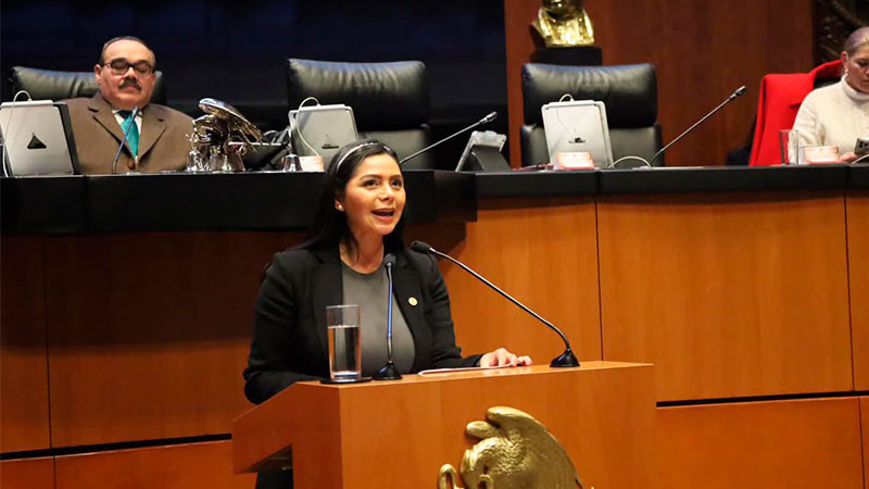 Propone Araceli Saucedo homologar Código Penal Federal con los locales en materia de feminicidio en México 