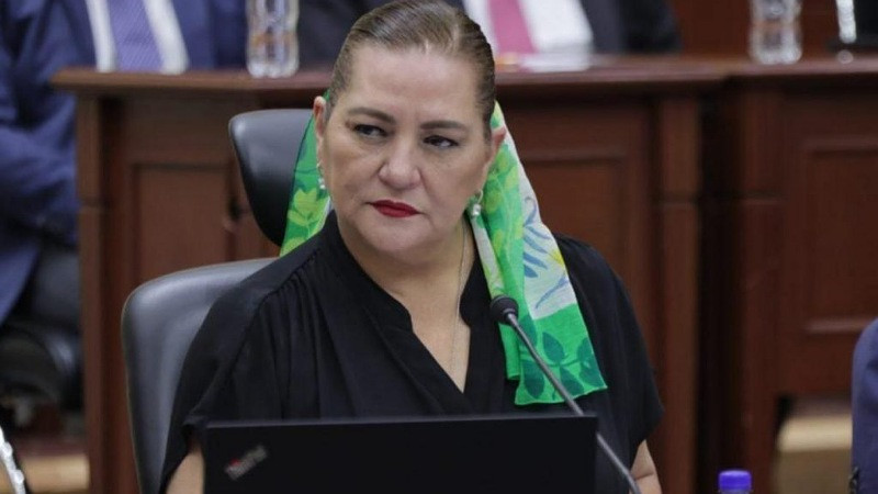 Guadalupe Taddei, presidenta del INE, se ausenta de reunión de Comisión de Presupuesto por síntomas de COVID-19 