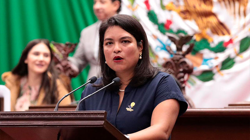Reforma garantiza, plenamente, derechos de pueblos originarios: Erendira Isauro 