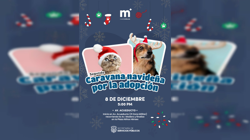 Más de 50 peludos buscan un hogar en Caravana Navideña por la Adopción en Morelia, Michoacán 