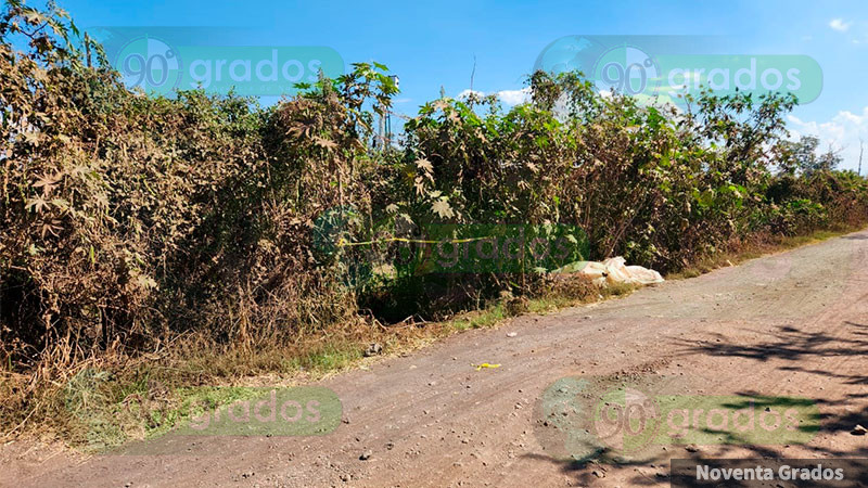 Encuentran cadáver en Zamora, Michoacán, se investigan causas del fallecimiento  