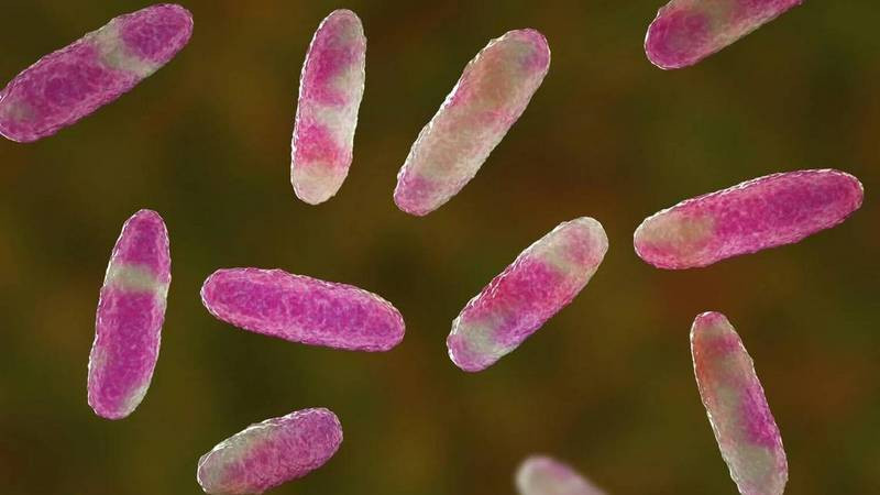 Salud actualiza a 17 menores muertos por bacteria Klebsiella oxytoca 