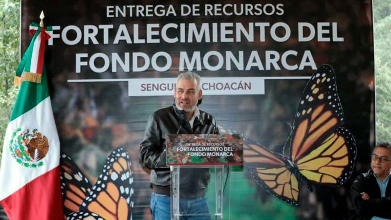 Michoacán celebra que EUA asuma responsabilidad del cuidado de la Monarca: Bedolla 