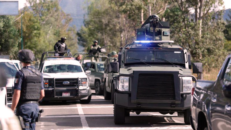 Secretaría de Seguridad Pública informa que en noviembre se decomisaron más de 160 kg de sustancias ilícitas  