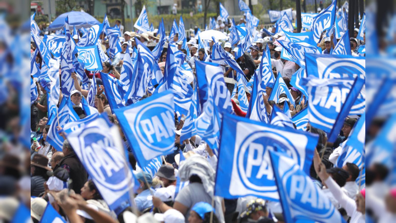 PAN exige al Senado investigar las acusaciones de actos de corrupción  