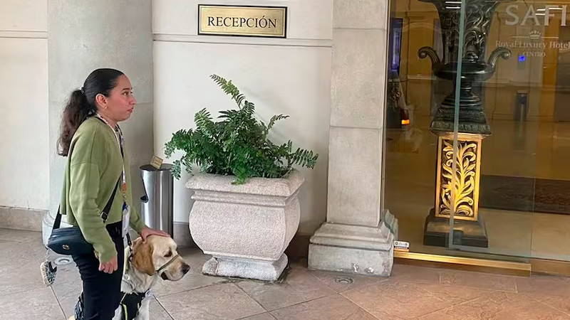 Joven con discapacidad visual denuncia discriminación en hotel de Monterrey por no dejarla entrar con su perro guía 