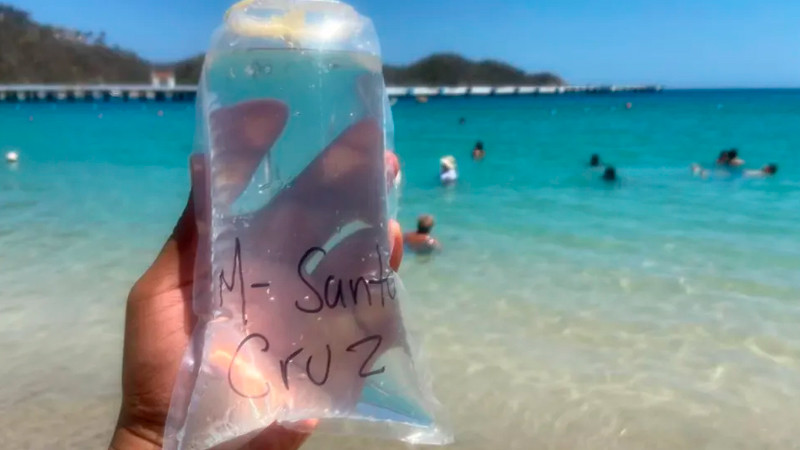 Estas son las playas más contaminadas para vacaciones invernales, según Cofepris 