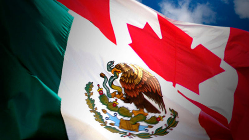 Por reformas constitucionales, habrá renegociación del T-MEC: Larry Rubin 