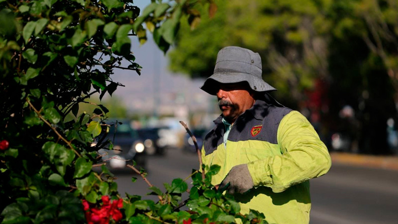 Brigadas de Morelia intervienen camellones del Libramiento Sur 