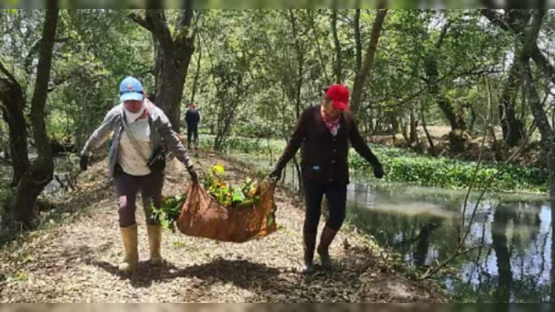 Secretaría de Medio Ambiente tendrá en 2025 presupuesto similar al de 2024 