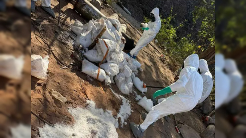 Desmantelan narcolaboratorio en Sinaloa; aseguran una tonelada de droga 