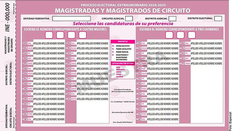 INE abre convocatoria para observadores electorales para elección del PEEPJF 