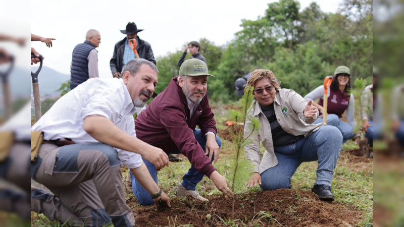 Se avanzó en la recuperación del lago de Pátzcuaro; se plantaron 1.8 millones de árboles: Bedolla 