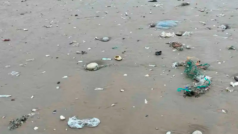 Crean modelo matemático para calcular microplásticos en el mar 
