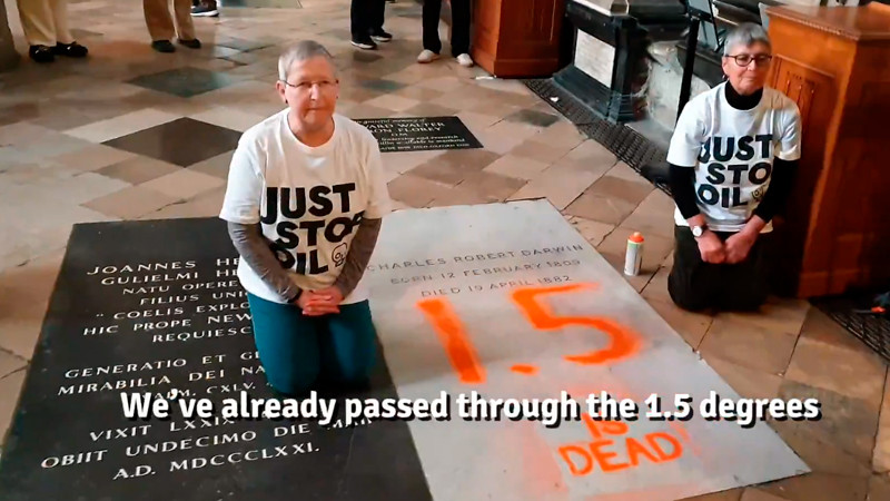 Activistas climáticos vandalizan tumba de Charles Darwin 