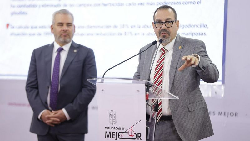 Michoacán cumple compromiso internacional en cuidado de la mariposa monarca 