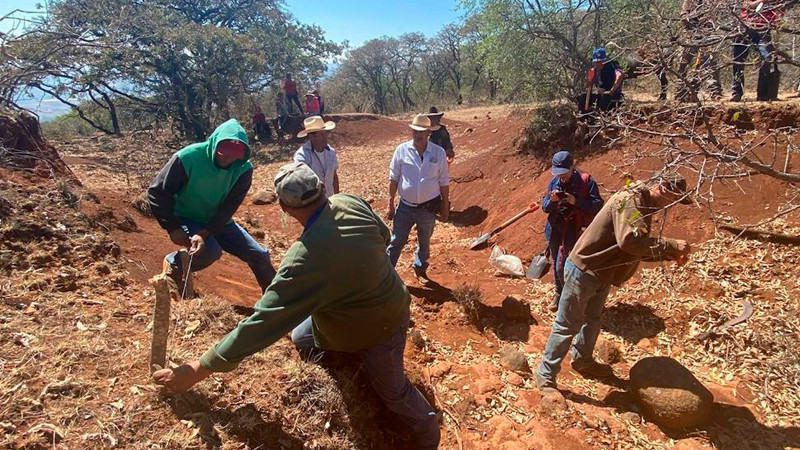 Unen esfuerzos para restaurar 50 hectáreas del área protegida cerro del Águila, en Michoacán 