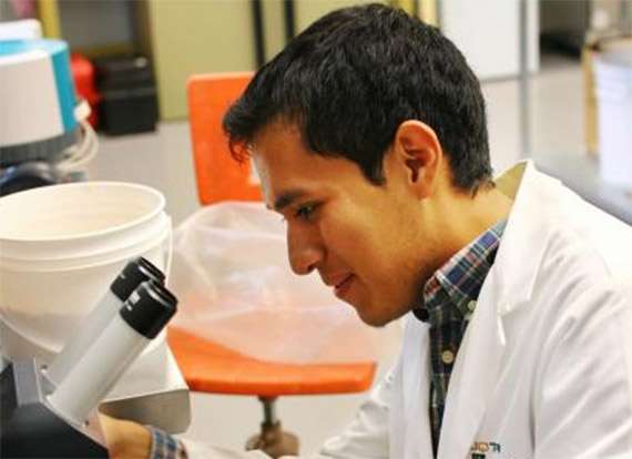Ofrece Canadá estancias de investigación y movilidad estudiantil a mexicanos - Foto 1 