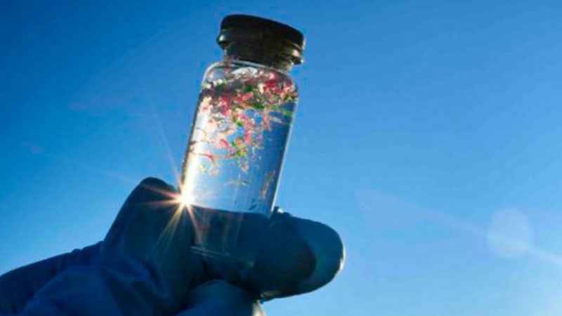 Conoce los riesgos de los microplásticos para el ambiente y el ser humano 
