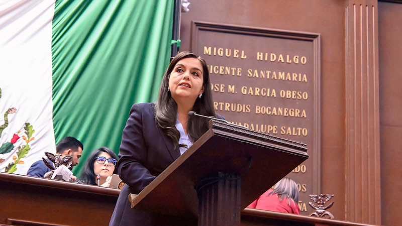 Exhorta diputada Tere Herrera a Ejecutivo estatal a establecer plan emergente en Michoacán  