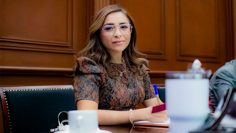 Grecia Aguilar propone reforma para garantizar a las y los jóvenes acceso a proyectos empresariales y productivos 