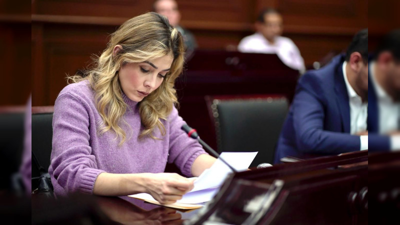 Propone Brissa Arroyo hacer del PRDM un verdadero instrumento al servicio de la ciudadanía 