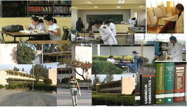 Destacada producción científica del Doctorado Interinstitucional en Ciencias Biológicas de la UMSNH - Foto 0 