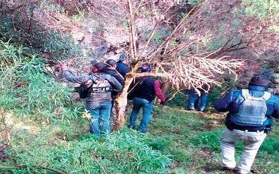 En cueva de Coalcomán, Michoacán, rescatan a un secuestrado; hay dos detenidos 